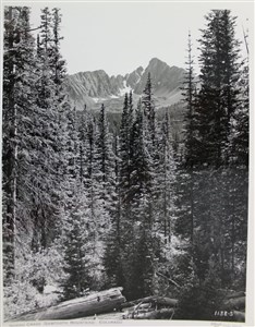 Image description is not available for 2007.012